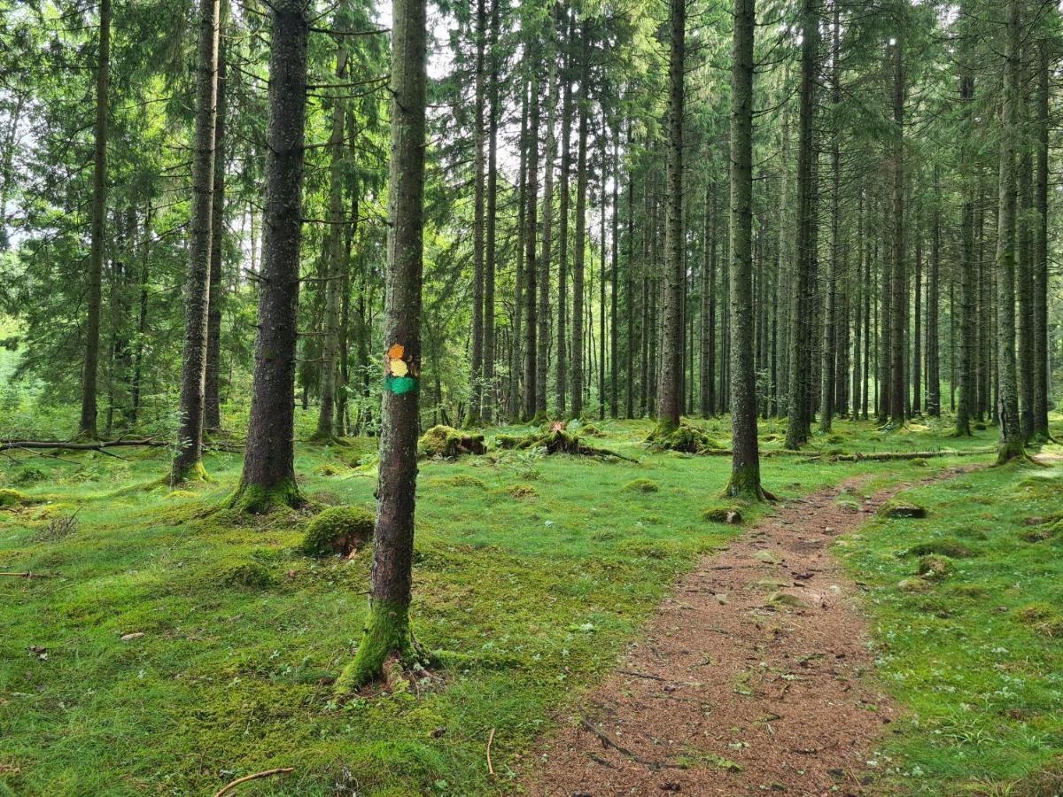 Stuga I Naturen Simlångsdalen Exterior foto